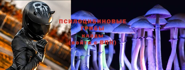 альфа пвп Няндома