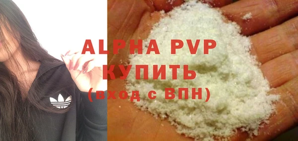сатива Арсеньев