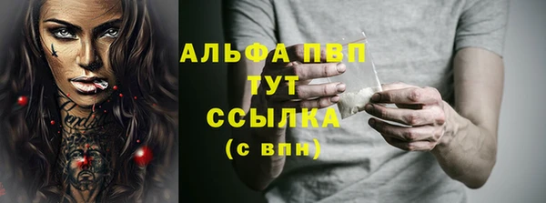 сатива Арсеньев