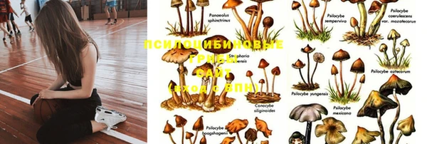 jwh Аркадак