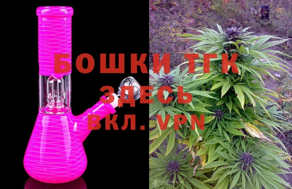 сатива Арсеньев