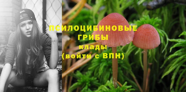 jwh Аркадак